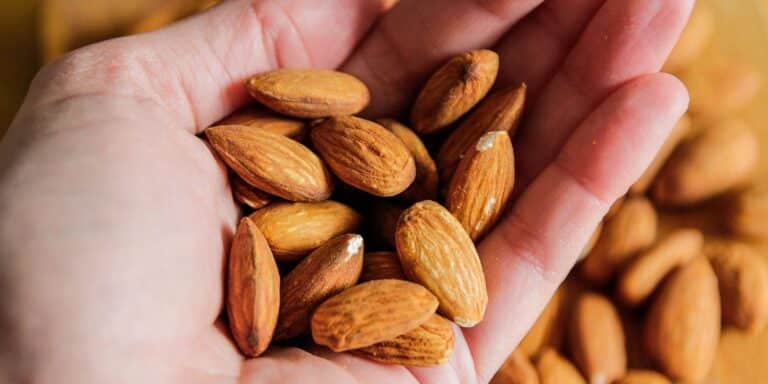 15 matvarer med mye vitamin E som stÃ¸tter immunitet og hjertehelse