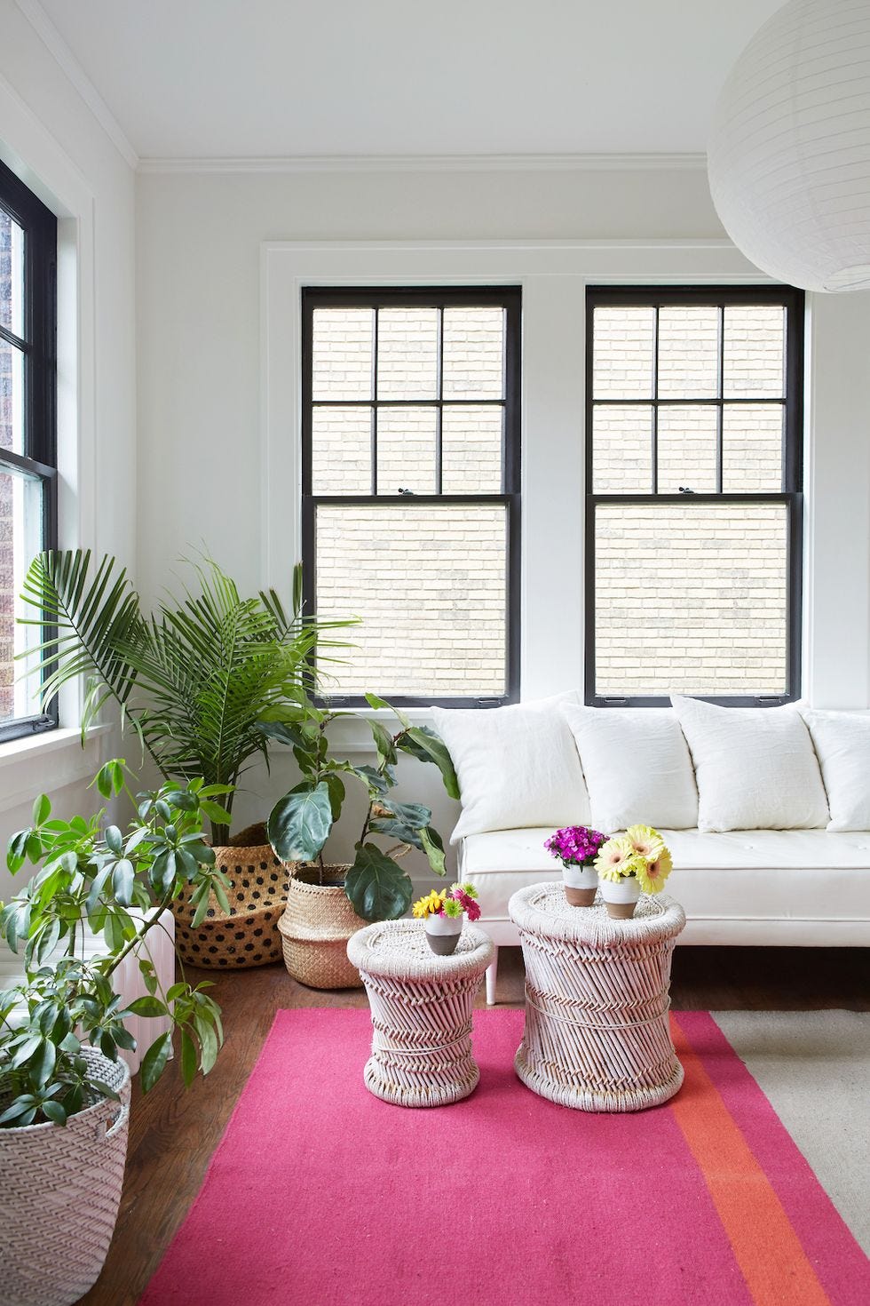 et rom med sofa og planter