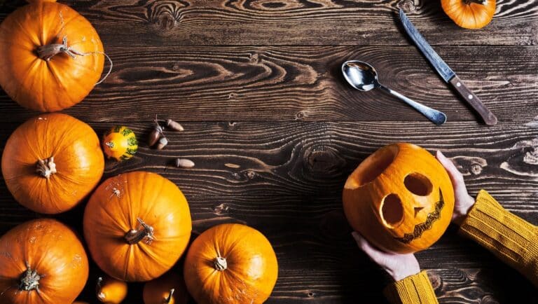 8 flotte mÃ¥ter Ã¥ bruke et gresskar etter Halloween