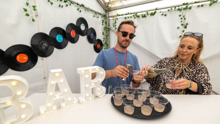 Electric Picnic satt for å feire Irlands utviklende drikkekultur