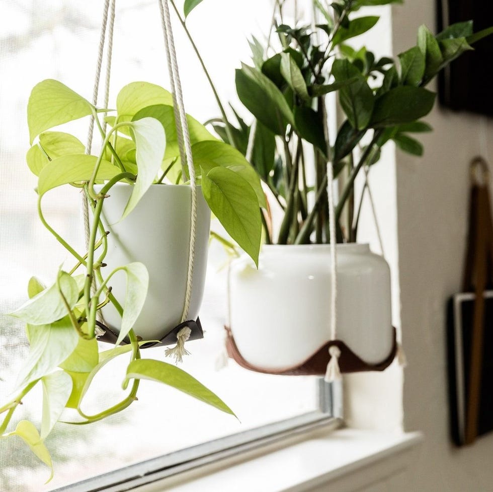 Innendørs hengende planteholder Innendørs hengende planteholder
