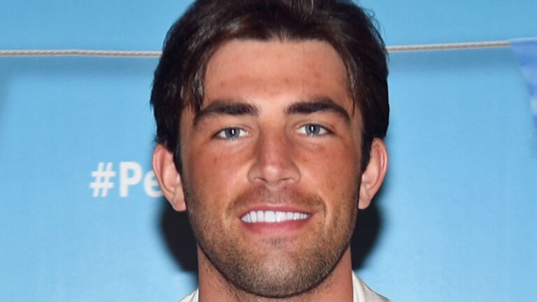 Love Island -stjernen Jack Fincham fengslet i seks uker etter at hunden bet en lÃ¸per