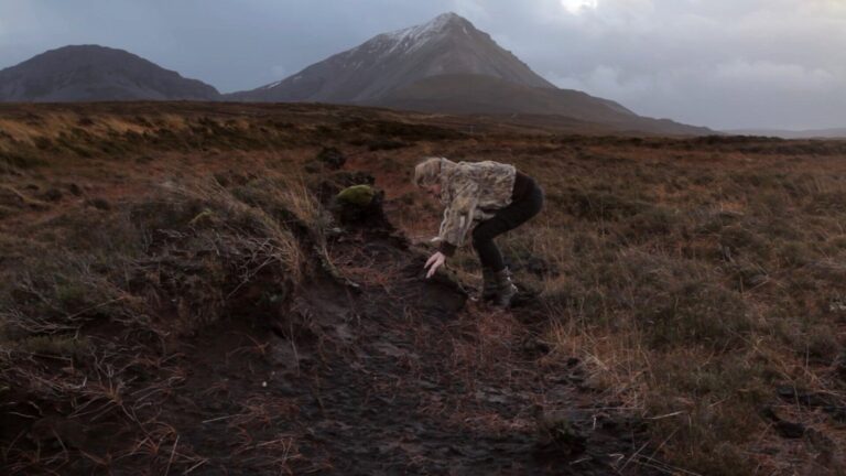 Dublin International Film Festival kunngjÃ¸r et behov i henne som vinner av Audience Award