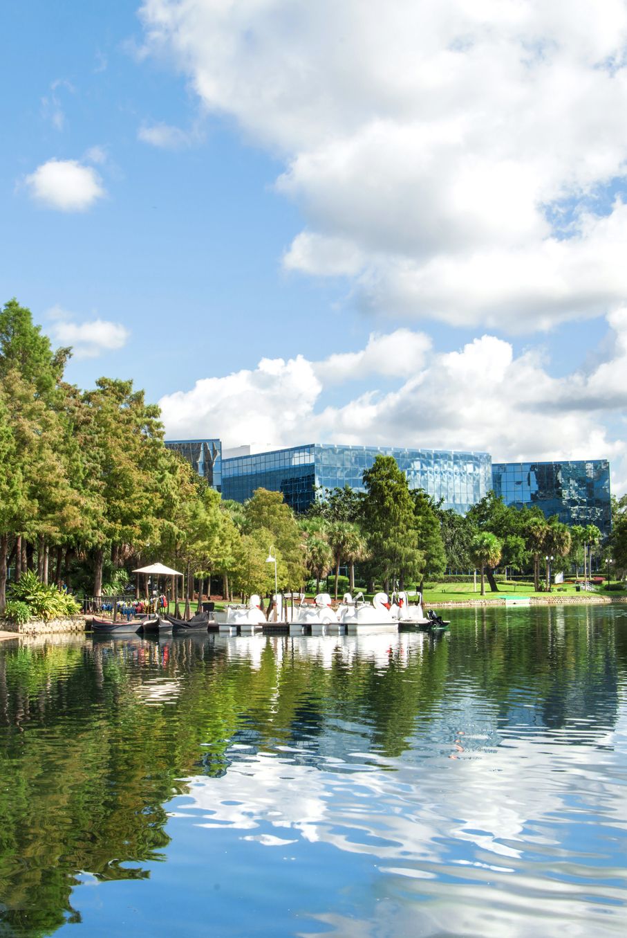 Lake Eola View i Orlando Florida