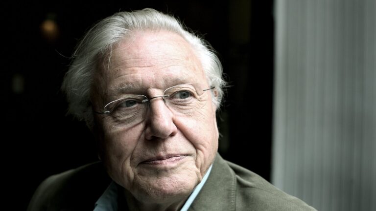 David Attenborough reflekterer over at nesten er 99 i ny dokumentar trailer