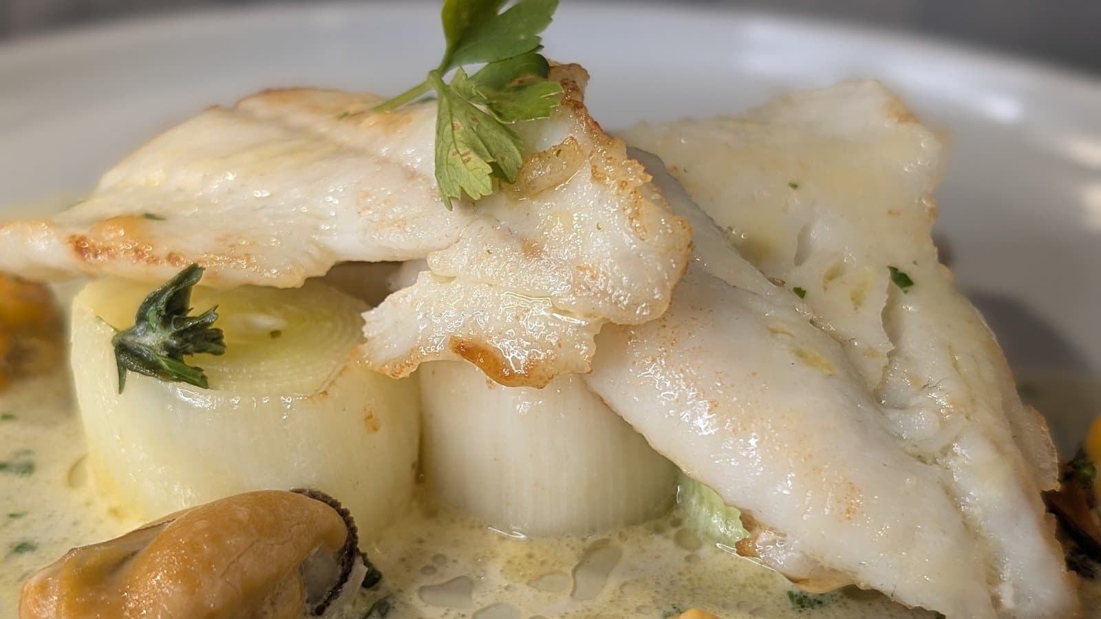 Marks pan-stekte piggvar med blåskjell og purre: i dag
