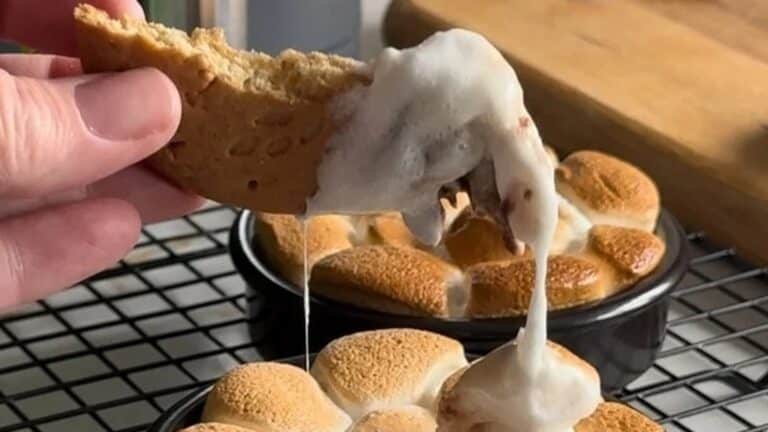 Gina Dalys deling av s'mores med kjeks dippere