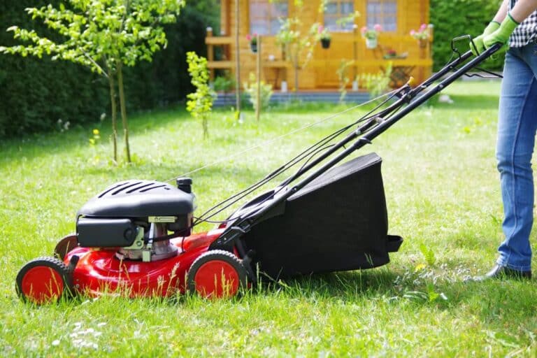 Hvorfor skal jeg ikke klippe plenen i mai? Denne feilen har stor innvirkning på hagen din
