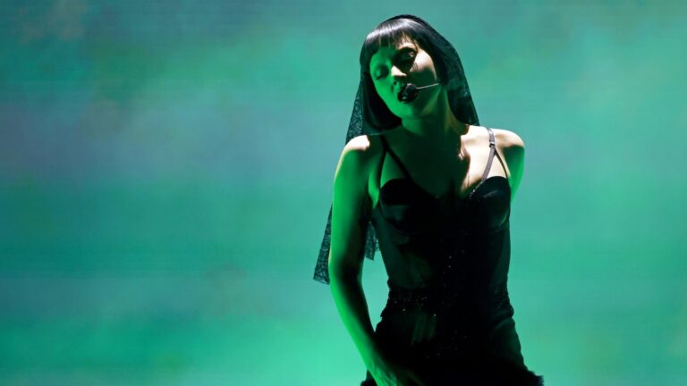 Lady Gaga vil gjestestjerne i Netflix TV -serien onsdag
