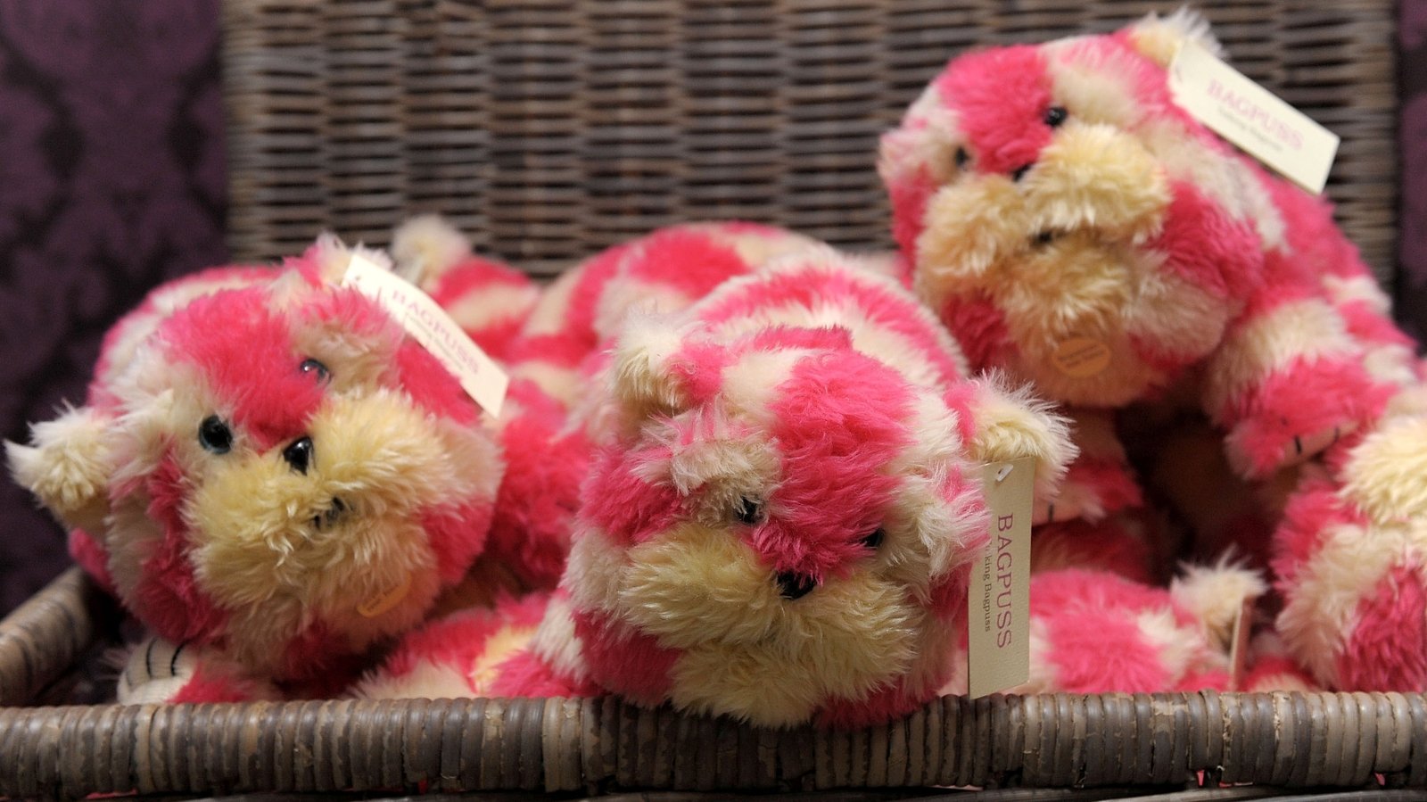 Klassiske barns karakter Bagpuss for Ã¥ fÃ¥ tilbake pÃ¥ storskjerm