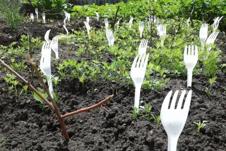 Flere og flere gartnere plasserer en plastgaffel i grÃ¸nnsakshagen sin, og det er helt riktig av dem.