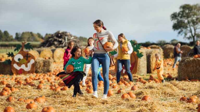 13 gresskarlapper Ã¥ besÃ¸ke rundt Irland denne Halloween