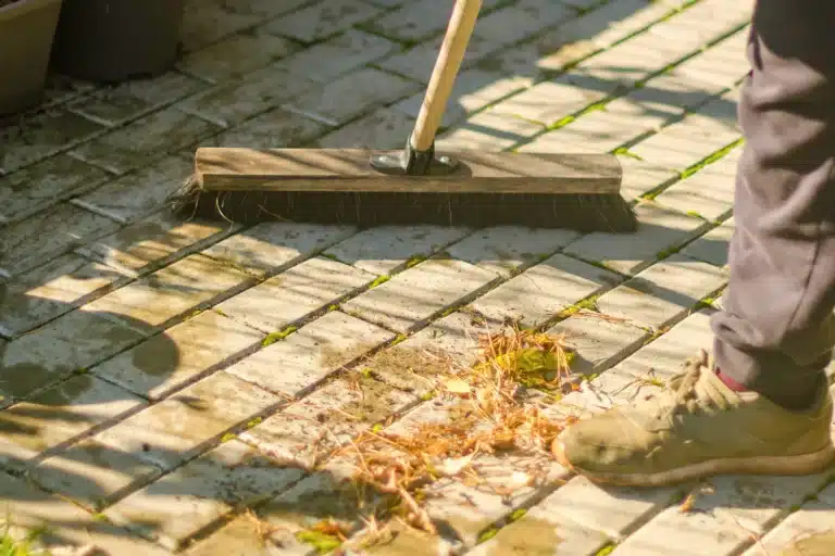 Alle gartnere bør gjøre dette frem til november: å sprøyte eddik på terrassen eller gangveiene er rart, men svært effektivt.