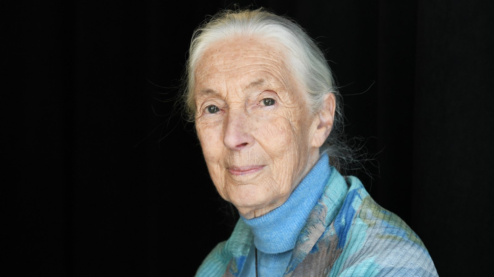 Hyllest betalt til naturvernmann Jane Goodall som har dÃ¸dd 91 Ã¥r gammel