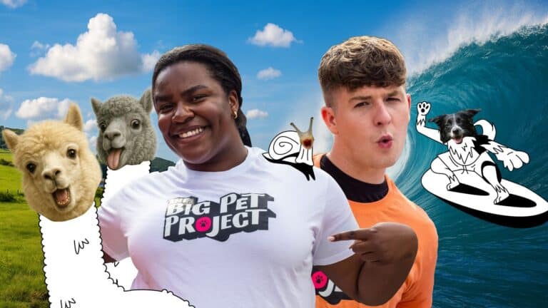 Irlands fantastiske kjÃ¦ledyr blir vist frem i The Big Pet Project