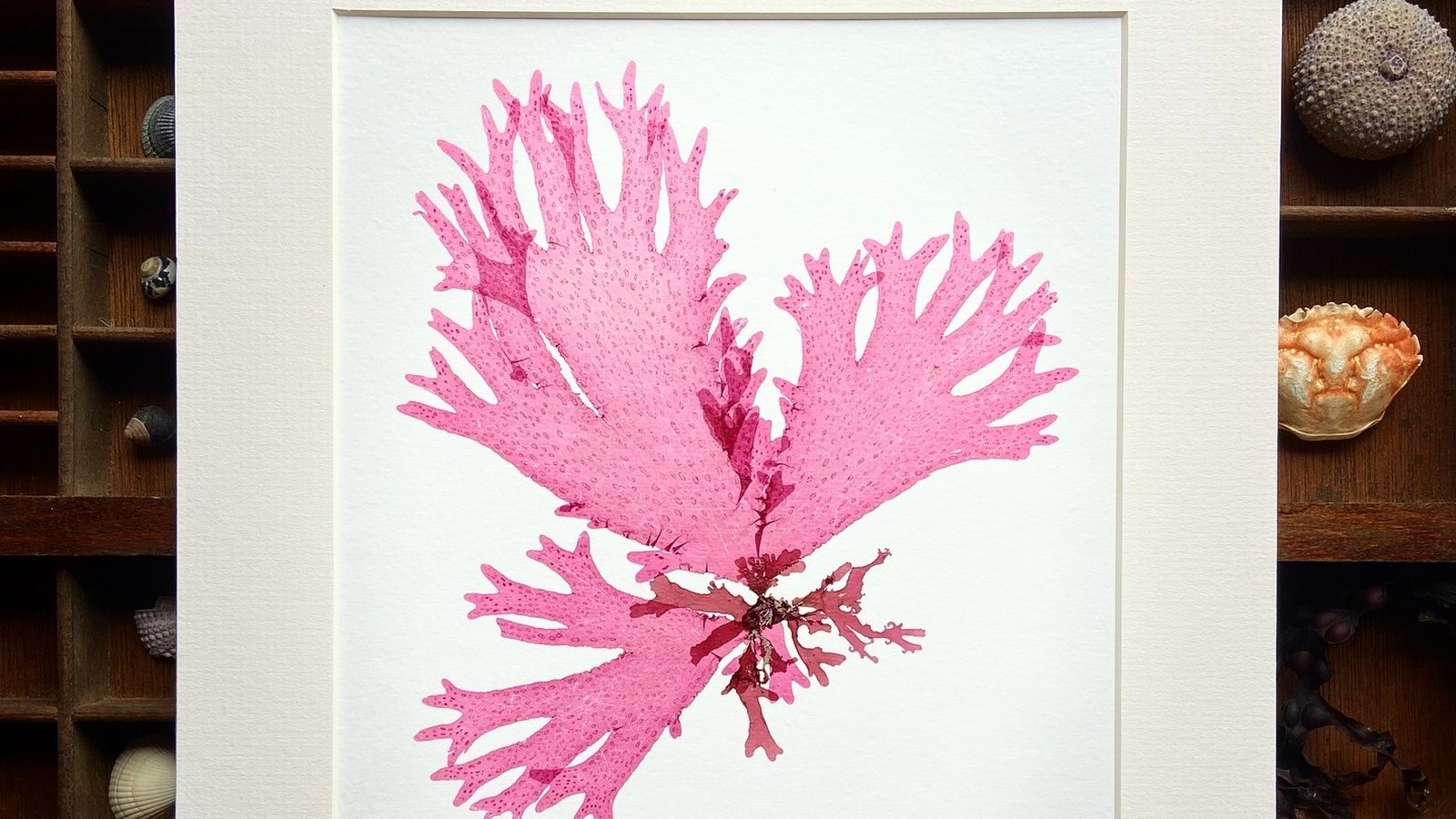 7 irske produsenter å sjekke ut på Irlands største håndverksmesse