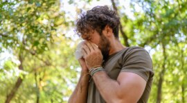 Hvordan stoppe pollen fra å komme inn i hjemmet