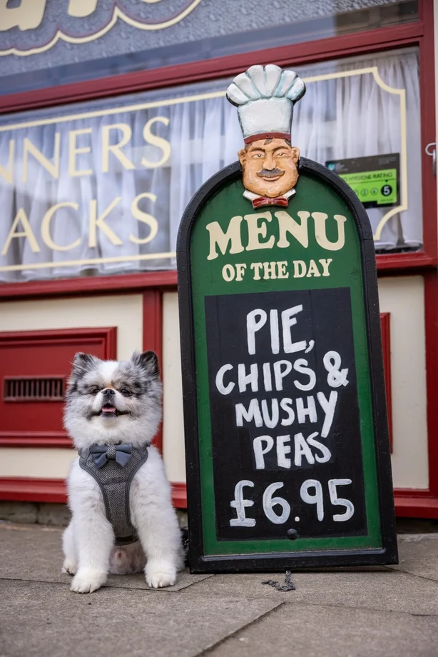 Boris the Pomeranian pÃ¥ Coronation Street-brosteinene i Manchester. Foto: James Speakman/PA Media Assignments