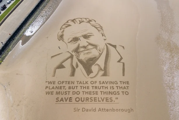 Luftfoto av et portrett av David Attenborough pÃ¥ Morecambe Beach