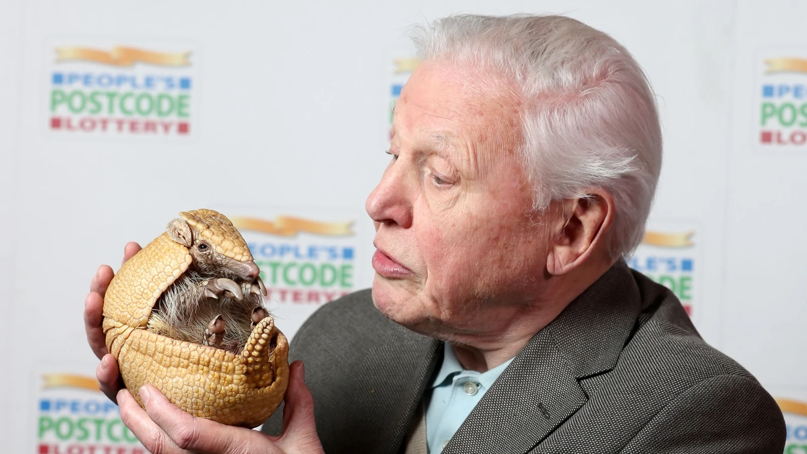 Den anerkjente miljÃ¸verneren Attenborough feirer 100-Ã¥rsdagen