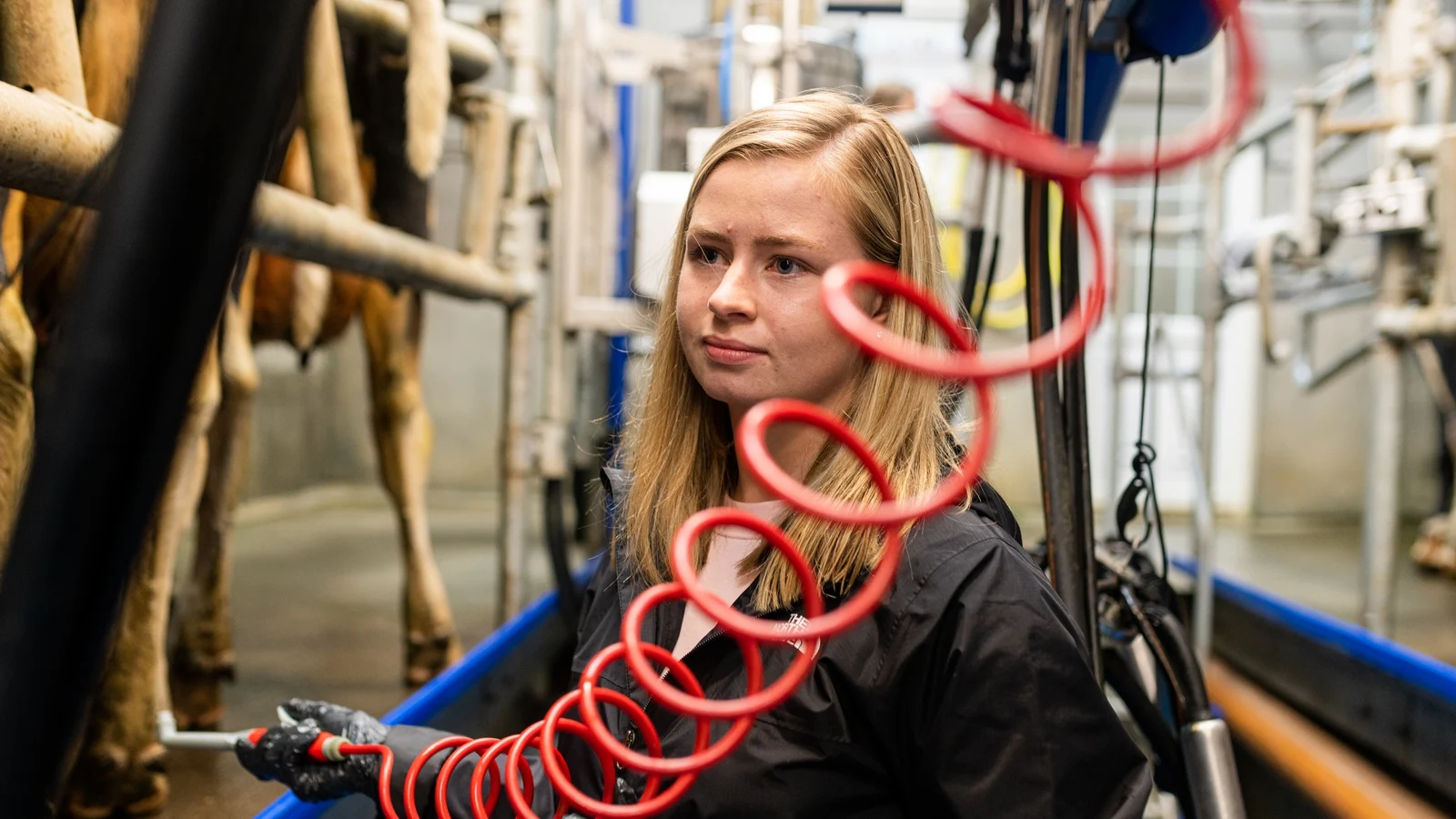Oppdrett i 2026: "Jeg kan få neglene mine, jeg kan få brunfargen"