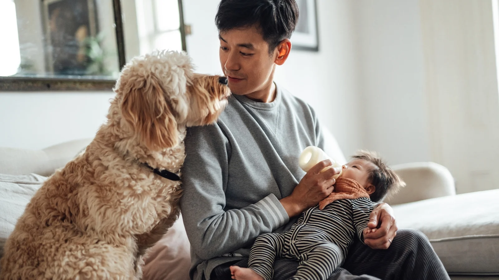 Bringing home baby: Hvordan forberede hunden din på en ny ankomst