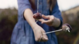 World Conker Championships kan trenge en tilførsel av irske conker