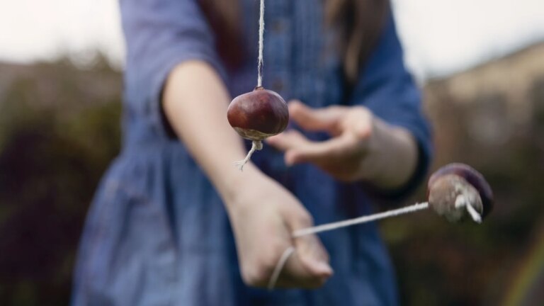 World Conker Championships kan trenge en tilfÃ¸rsel av irske conker
    

